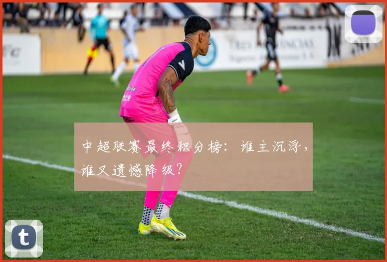 中超联赛最终积分榜：谁主沉浮，谁又遗憾降级？